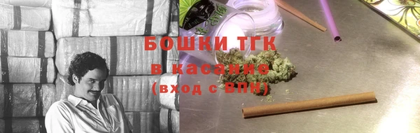 сатива Богородицк