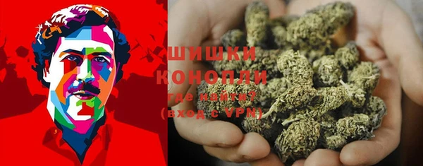 сатива Богородицк
